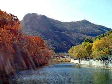 新澳天天开奖资料大全旅游团，臭檀